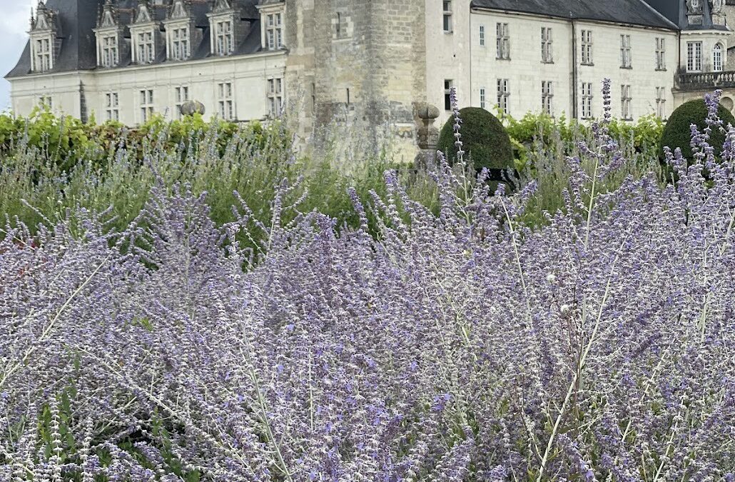 Villandry castello