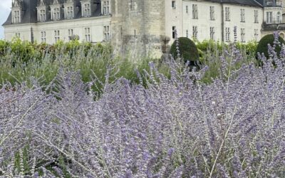 Il castello di Villandry e i suoi magnifici giardini – Castelli della Loira