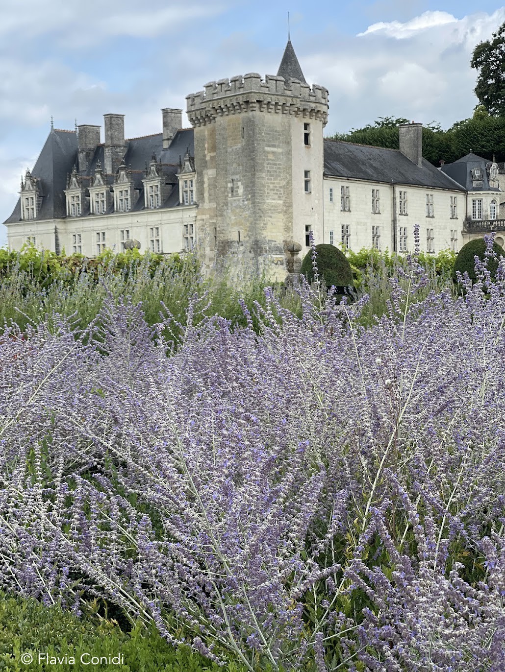 Villandry castello